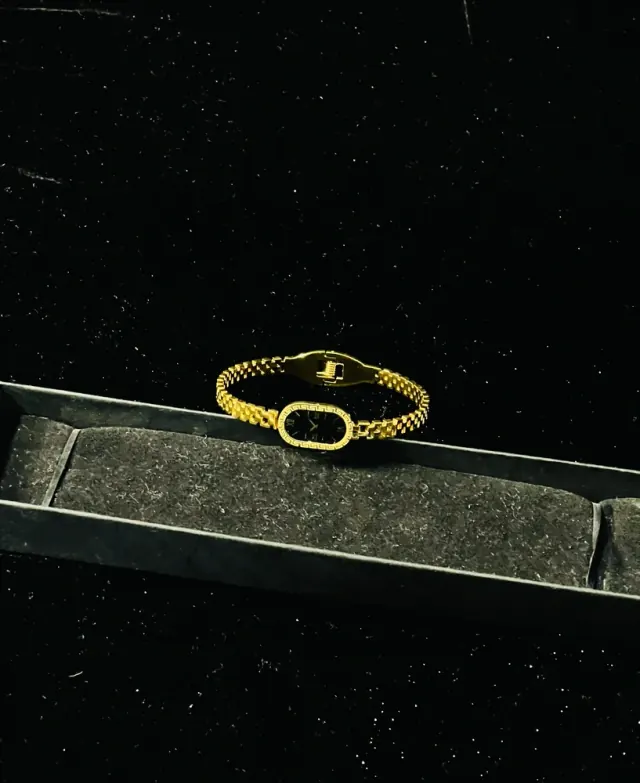 Watch Handcuff